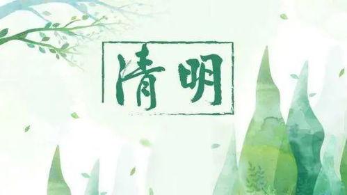 清明最新爆料,重磅爆料揭秘幕后故事